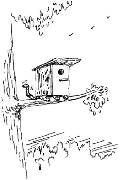 piege a oiseau-humourenvrac